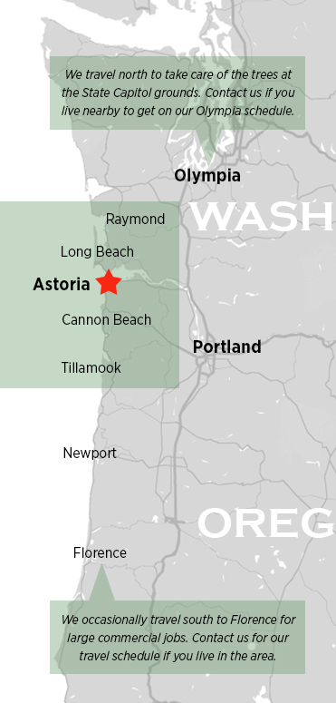 Our Service Area